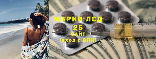 хмурый Инта