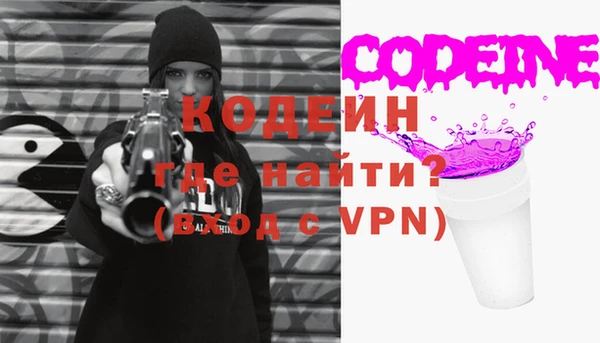 хмурый Инта