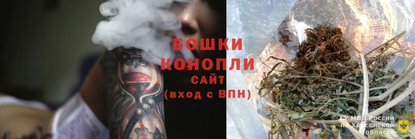 хмурый Инта