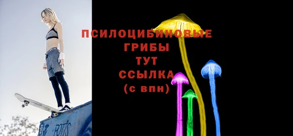хмурый Инта