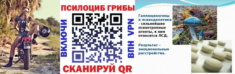 Купить закладки Дубовка Псилоцибиновые грибы мухоморы